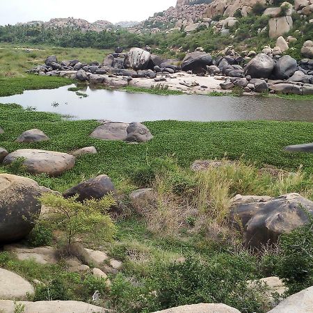 Riverside Homestay Hampi Extérieur photo