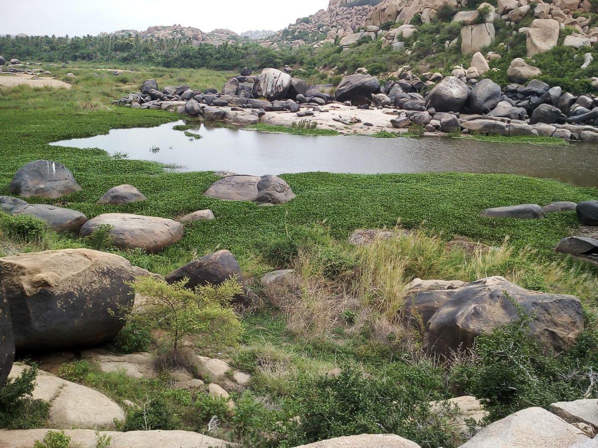 Riverside Homestay Hampi Extérieur photo